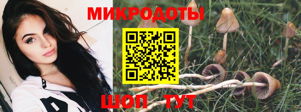 Галлюциногенные грибы ЛСД  Галлюциногенные грибы GOLDEN TEACHER  наркота  Комсомольск-на-Амуре  Вход с VPN 